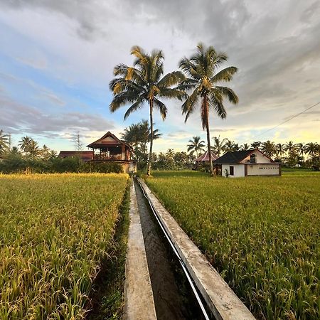 Rice Field Inn - Lombok Тетебату Экстерьер фото