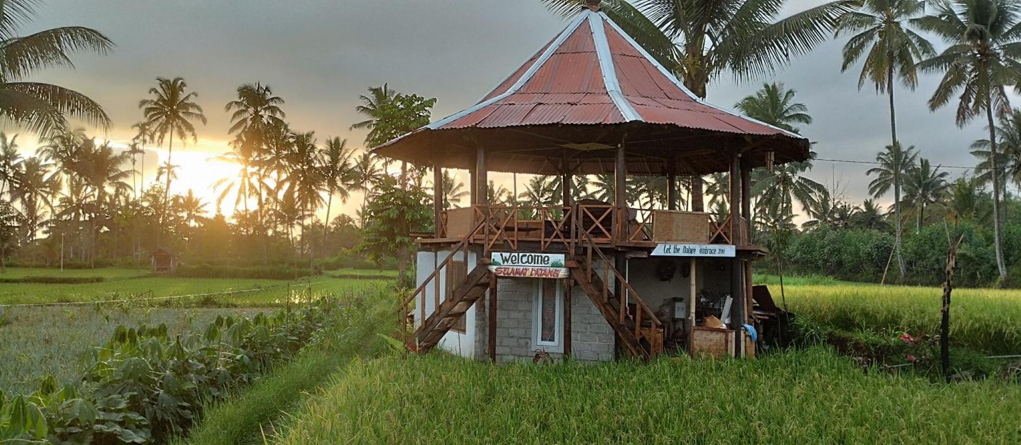Rice Field Inn - Lombok Тетебату Экстерьер фото