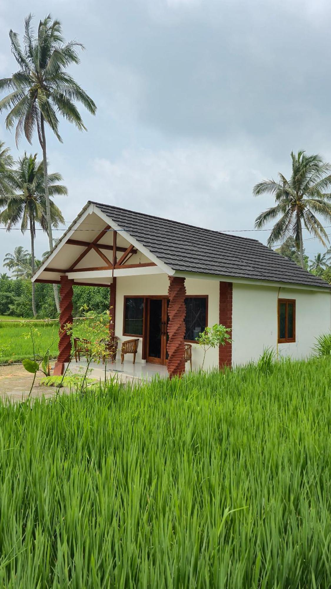 Rice Field Inn - Lombok Тетебату Экстерьер фото