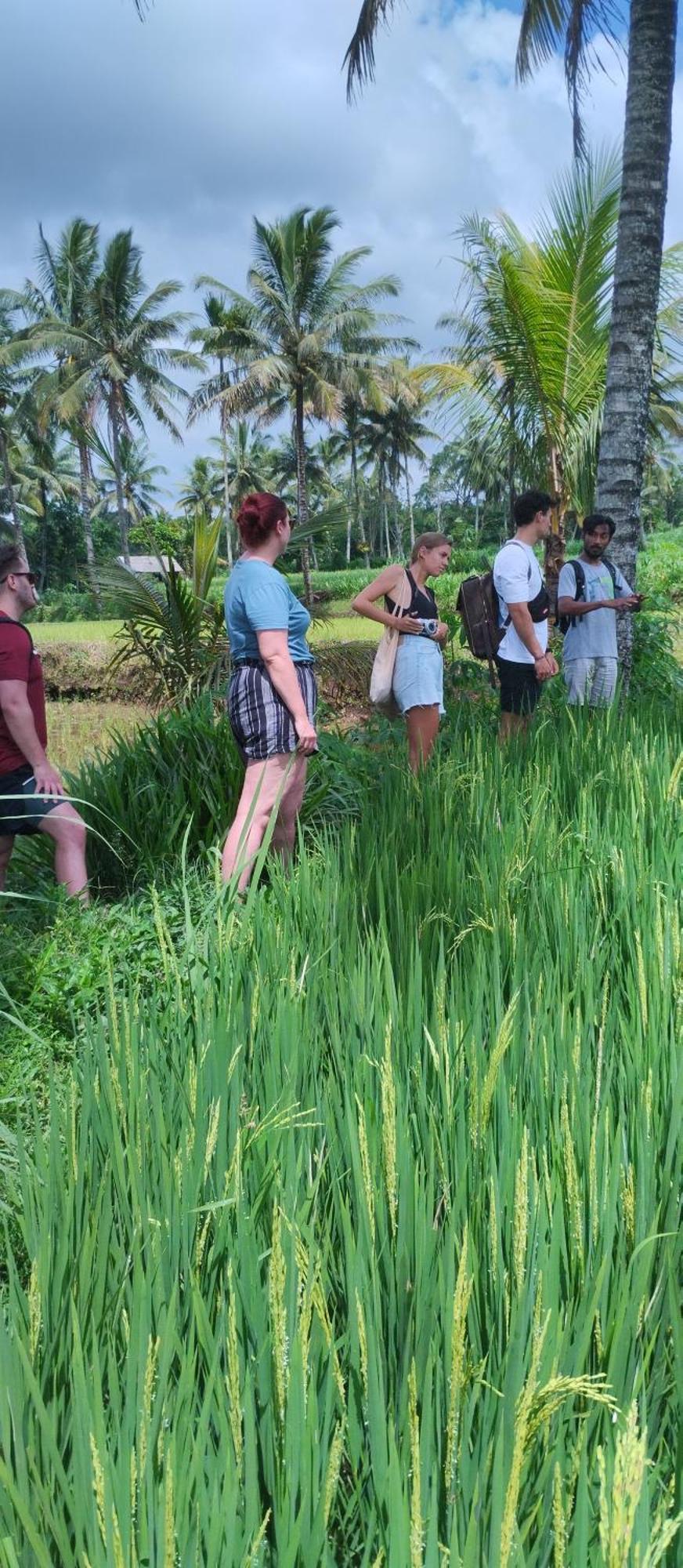 Rice Field Inn - Lombok Тетебату Экстерьер фото