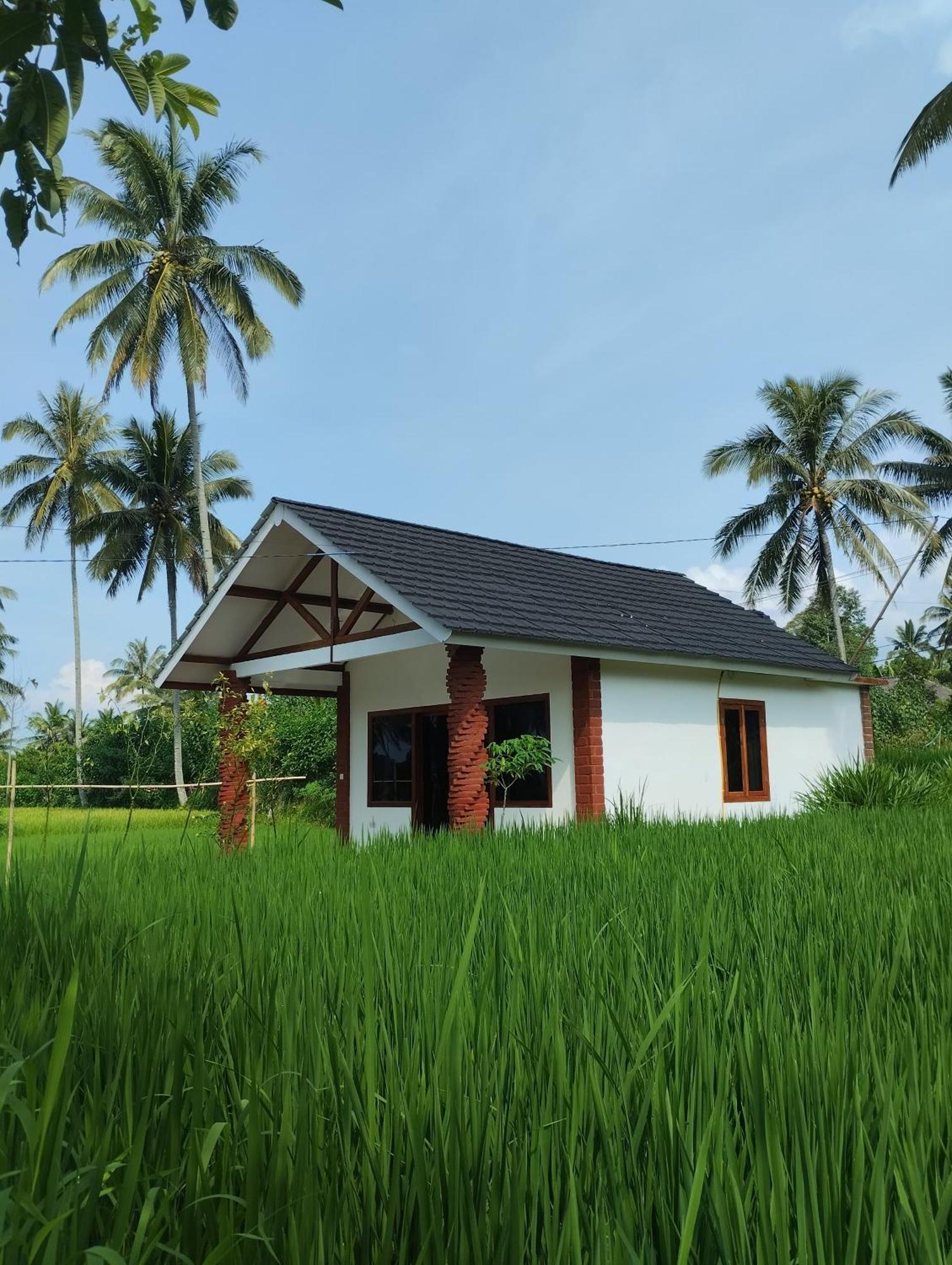 Rice Field Inn - Lombok Тетебату Номер фото