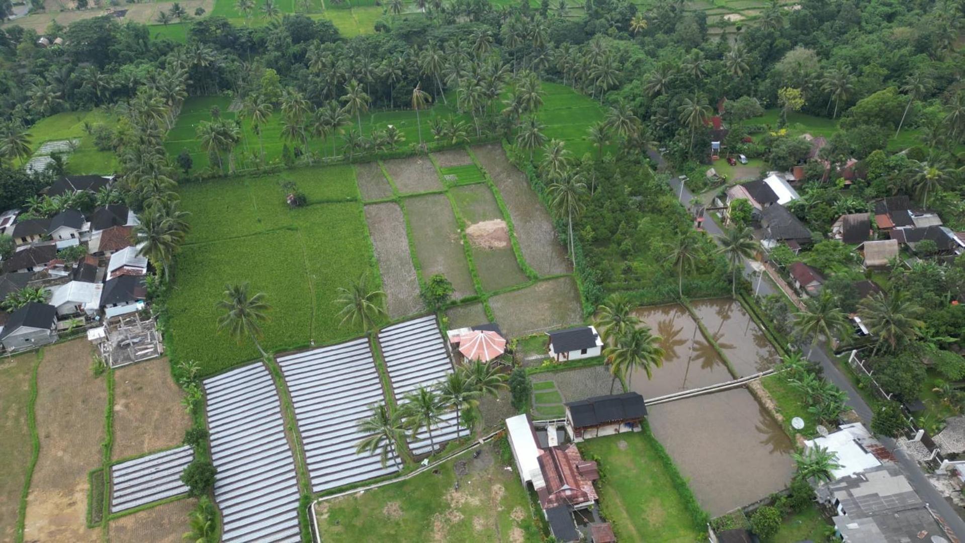 Rice Field Inn - Lombok Тетебату Экстерьер фото