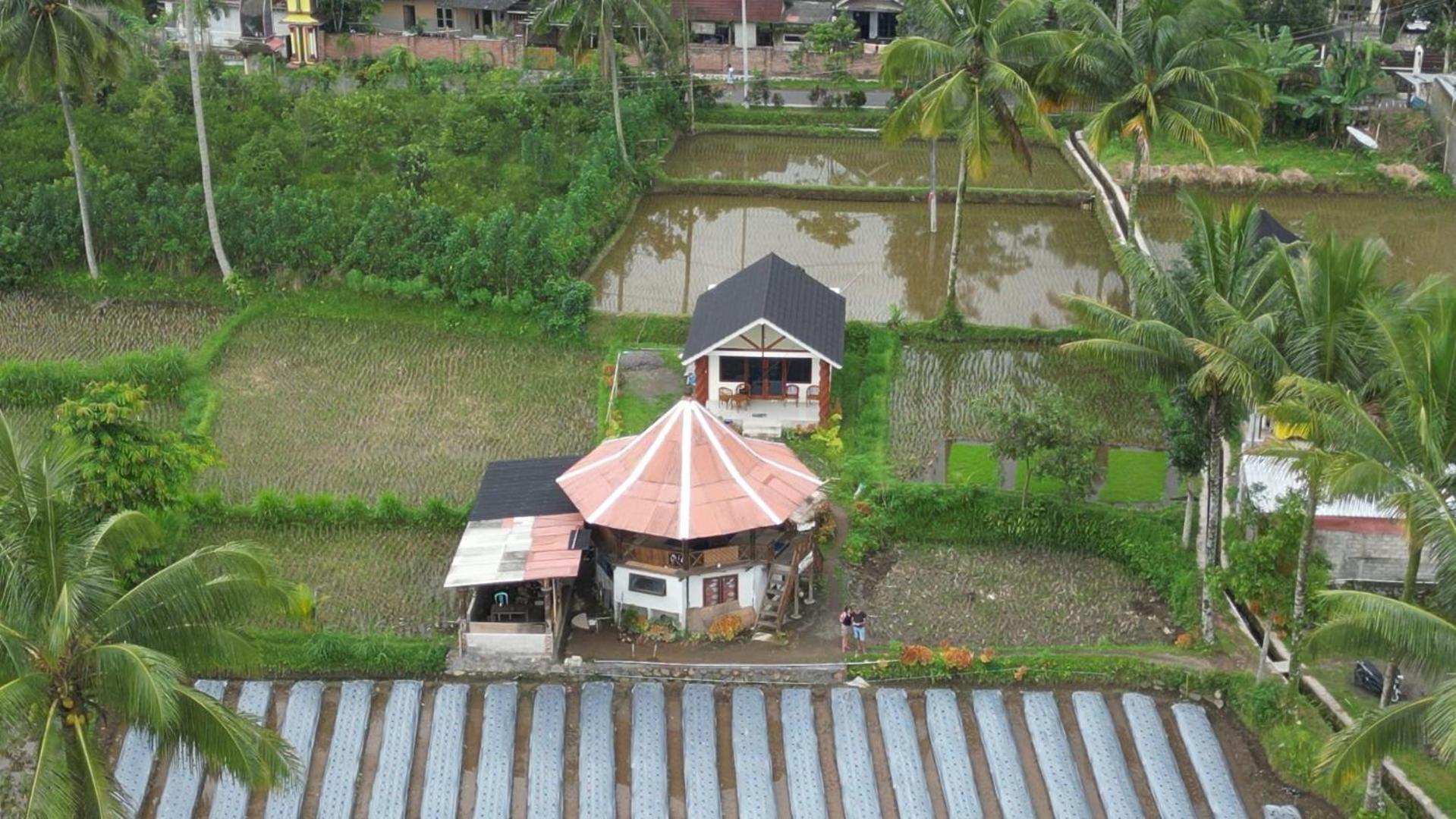Rice Field Inn - Lombok Тетебату Экстерьер фото