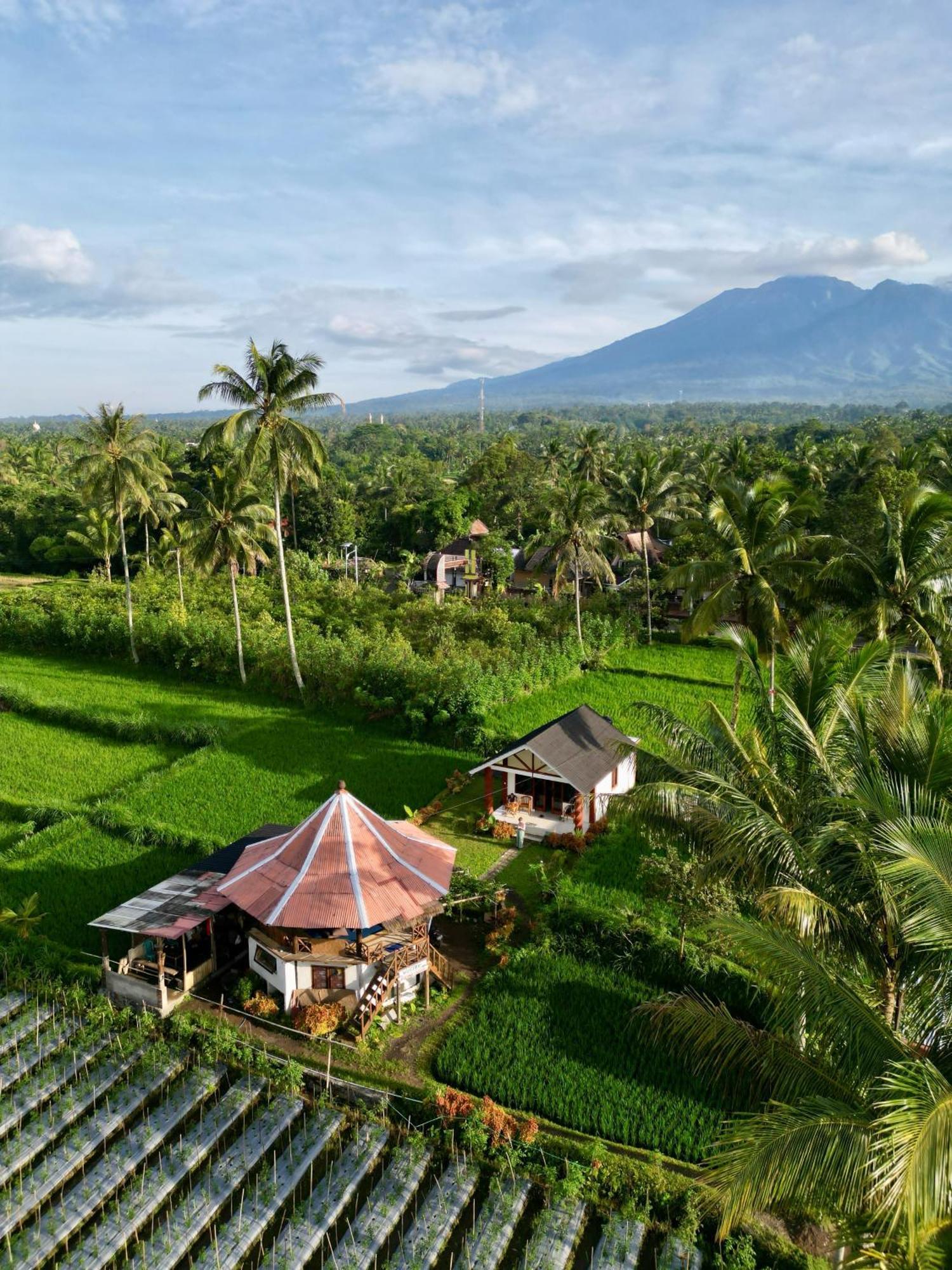 Rice Field Inn - Lombok Тетебату Экстерьер фото