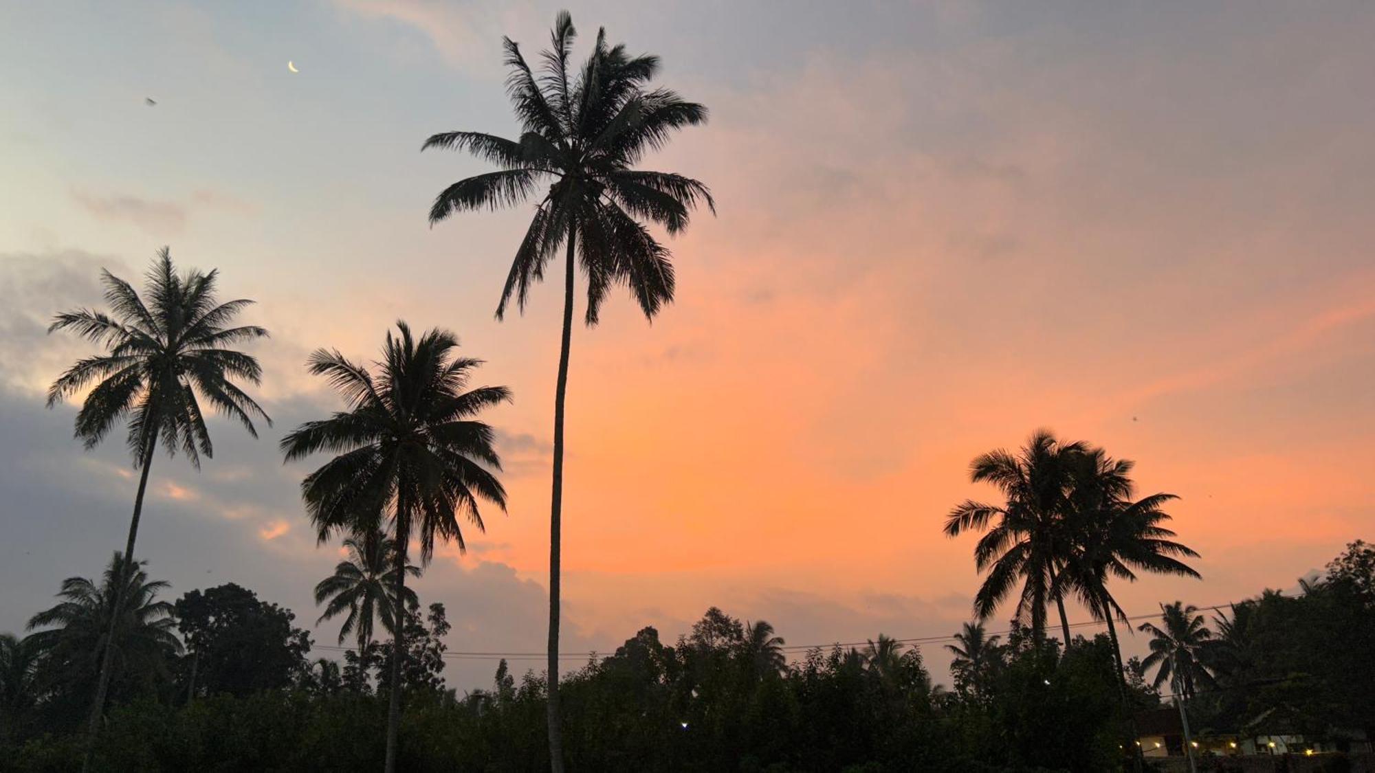 Rice Field Inn - Lombok Тетебату Экстерьер фото
