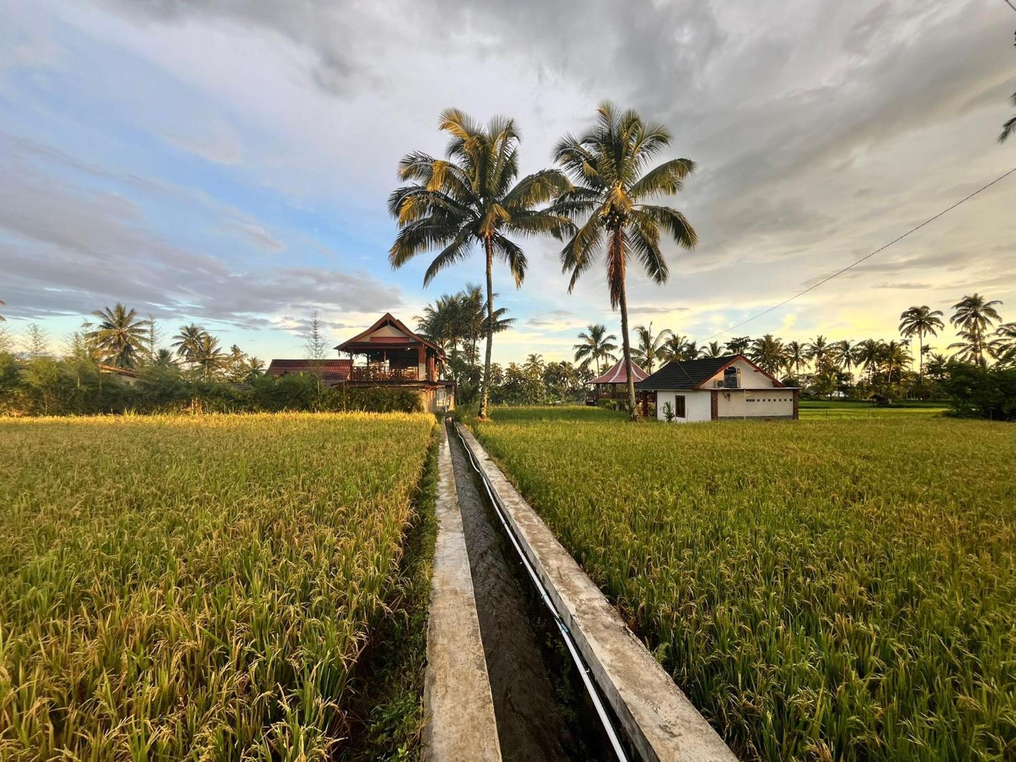 Rice Field Inn - Lombok Тетебату Экстерьер фото